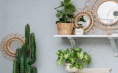 Let’s talk Rattan