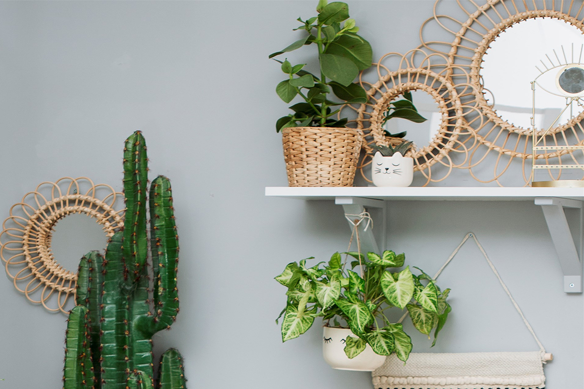 Let's talk about rattan | Blog | Let's Enjoy The Little Things | Online