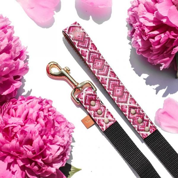 'Pedigree Princess' Lead