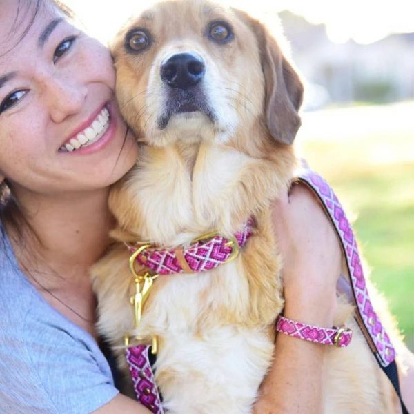 'Pedigree Princess' Friendship Collar - Image 4