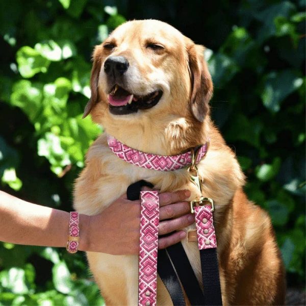 'Pedigree Princess' Lead - Image 2