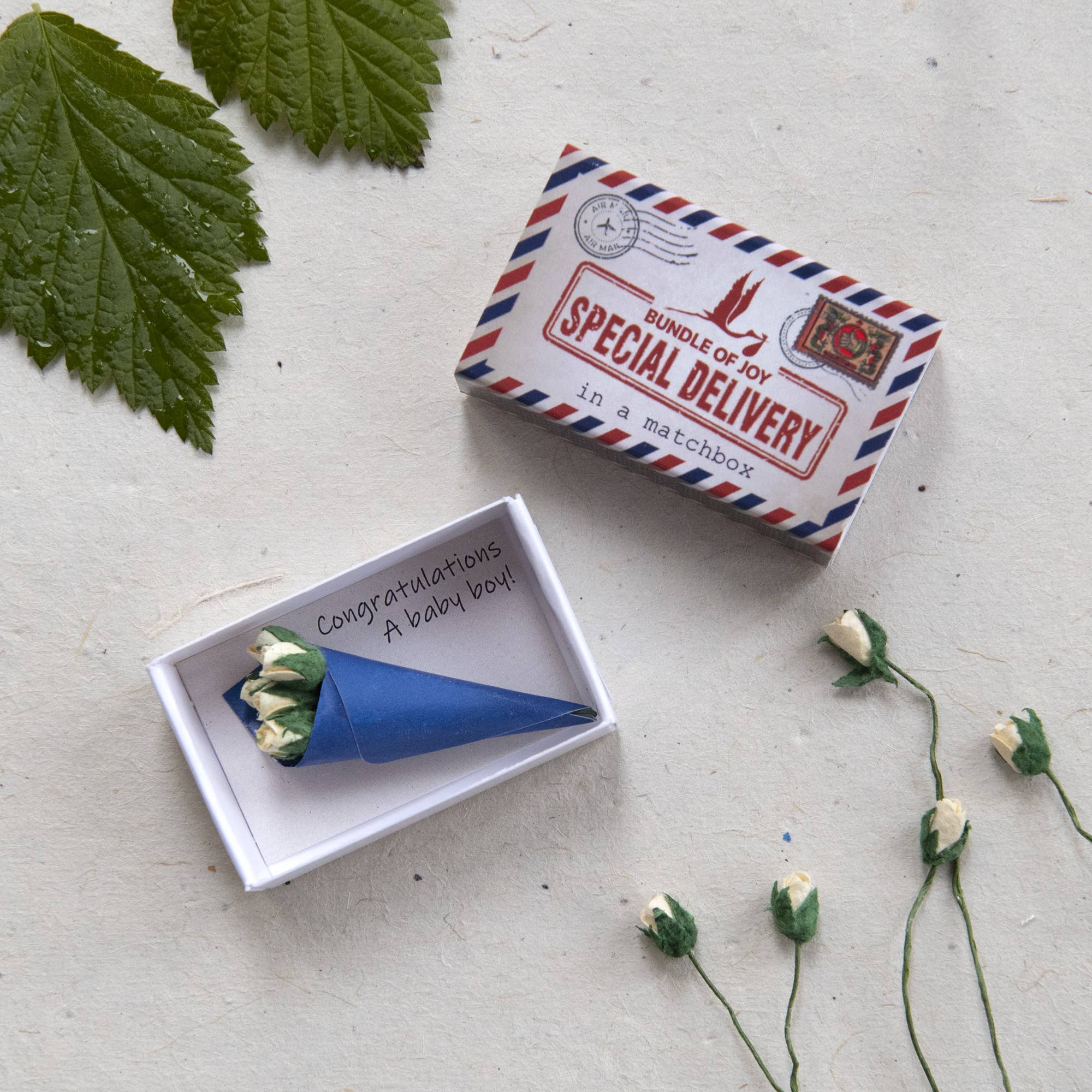 Special Delivery Baby Boy In A Matchbox