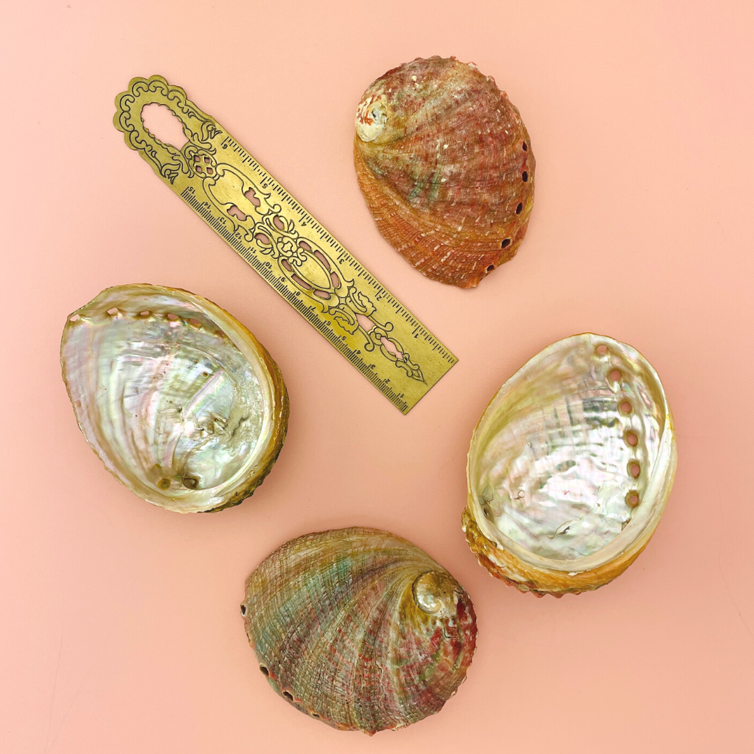 Abalone Sea Shell Smudge Stick Bowl - Image 3