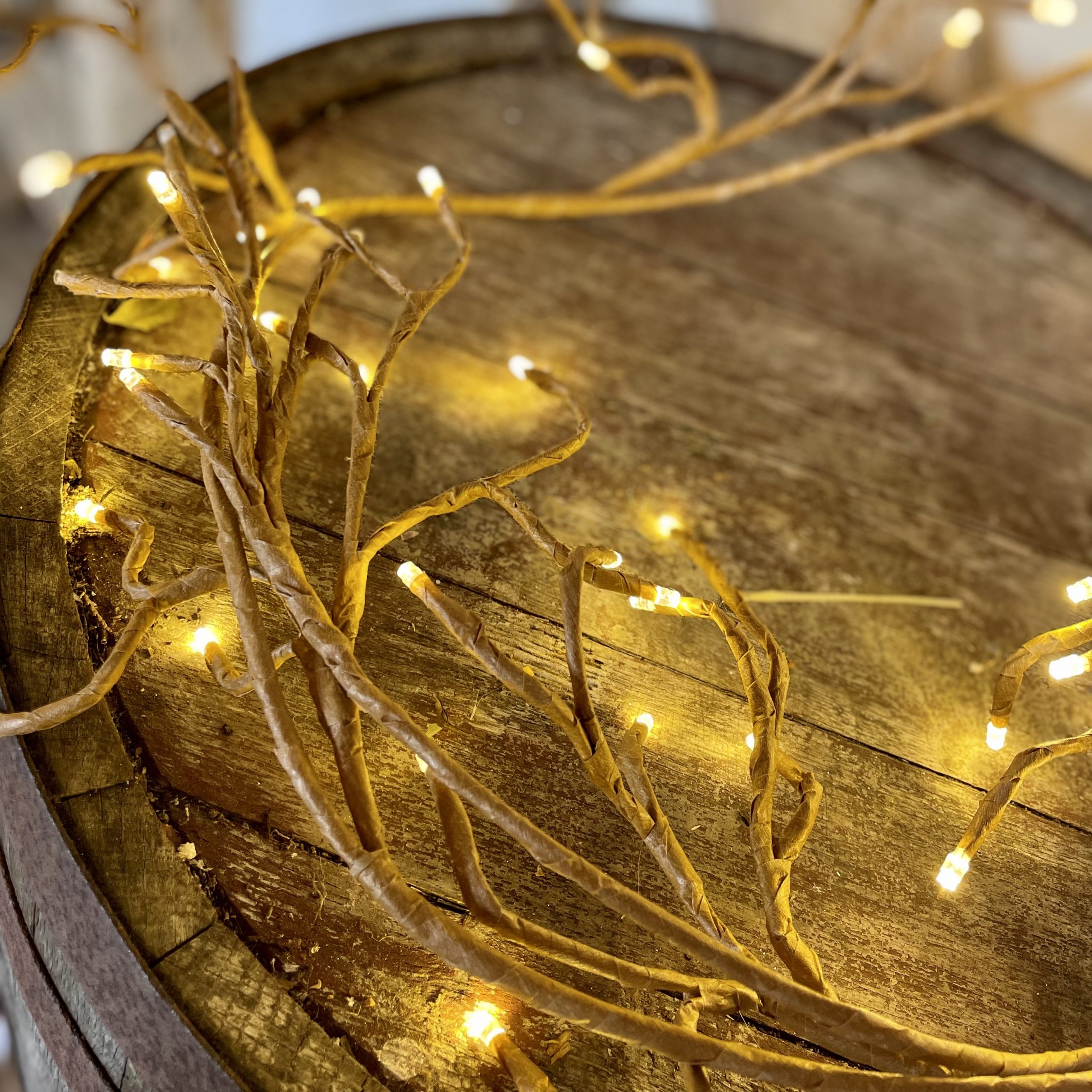 Ivy Solar/Mains light