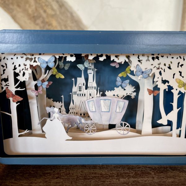 ‘Cinderellas Carriage' message in a bottle card - Image 3