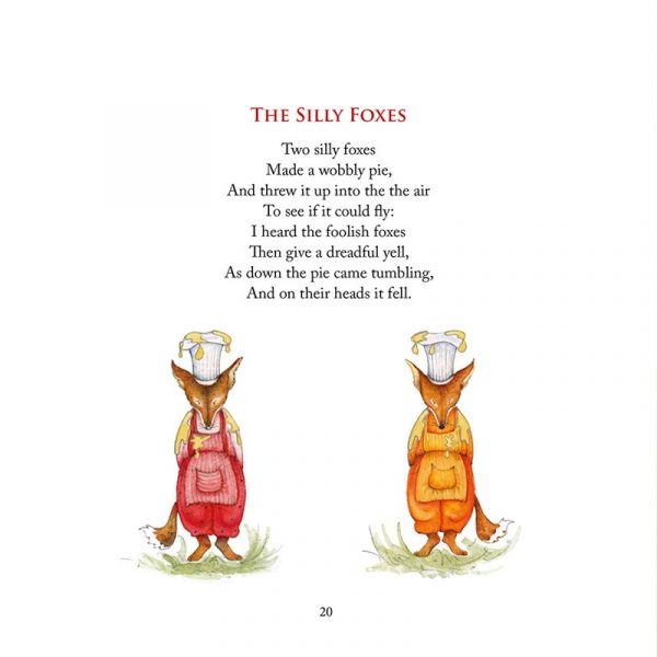 'Standing in a Rainbow' book - Image 4