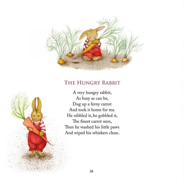'Standing in a Rainbow' book - Image 8