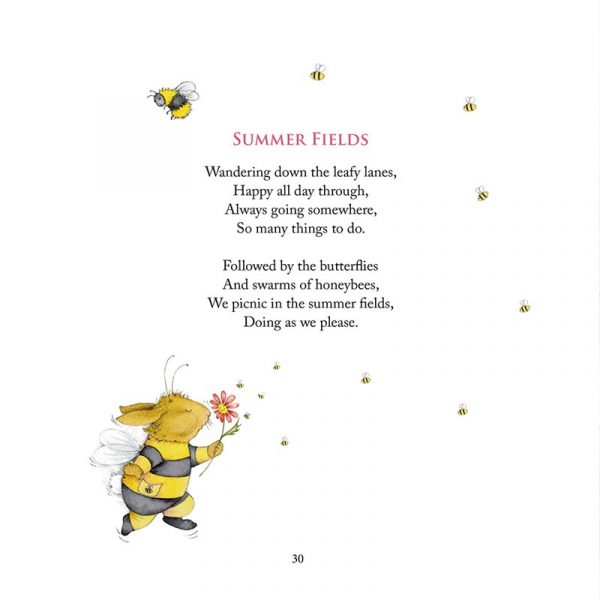 'Standing in a Rainbow' book - Image 6
