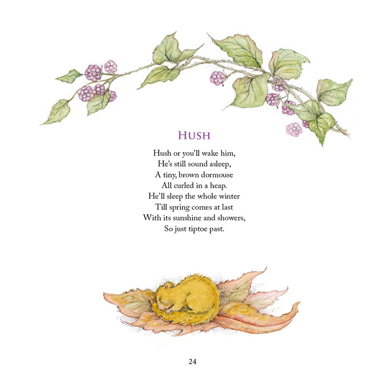 'The way to Faerieland' book - Image 2