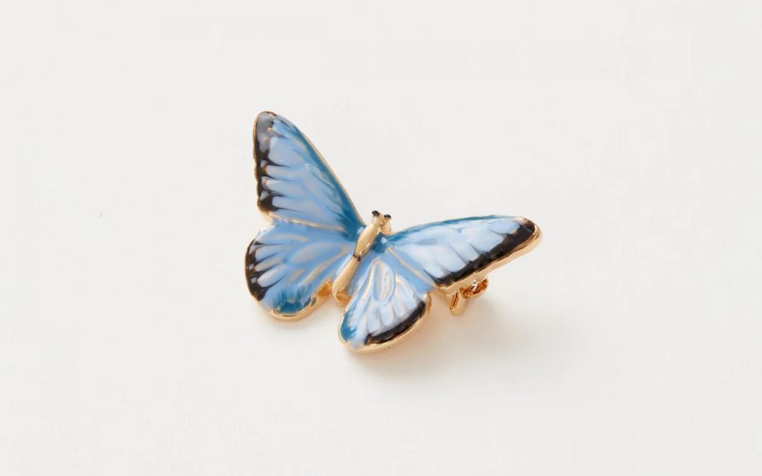 Fable Enamel Blue Butterfly Brooch
