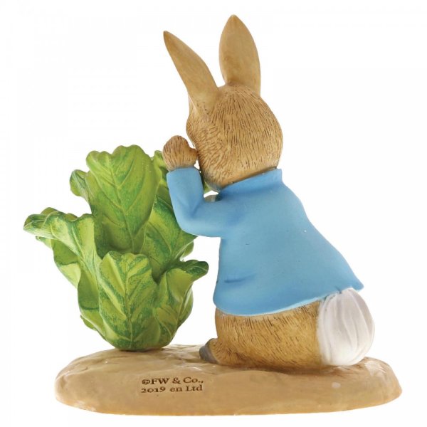 Peter Rabbit with Lettuce - Image 2