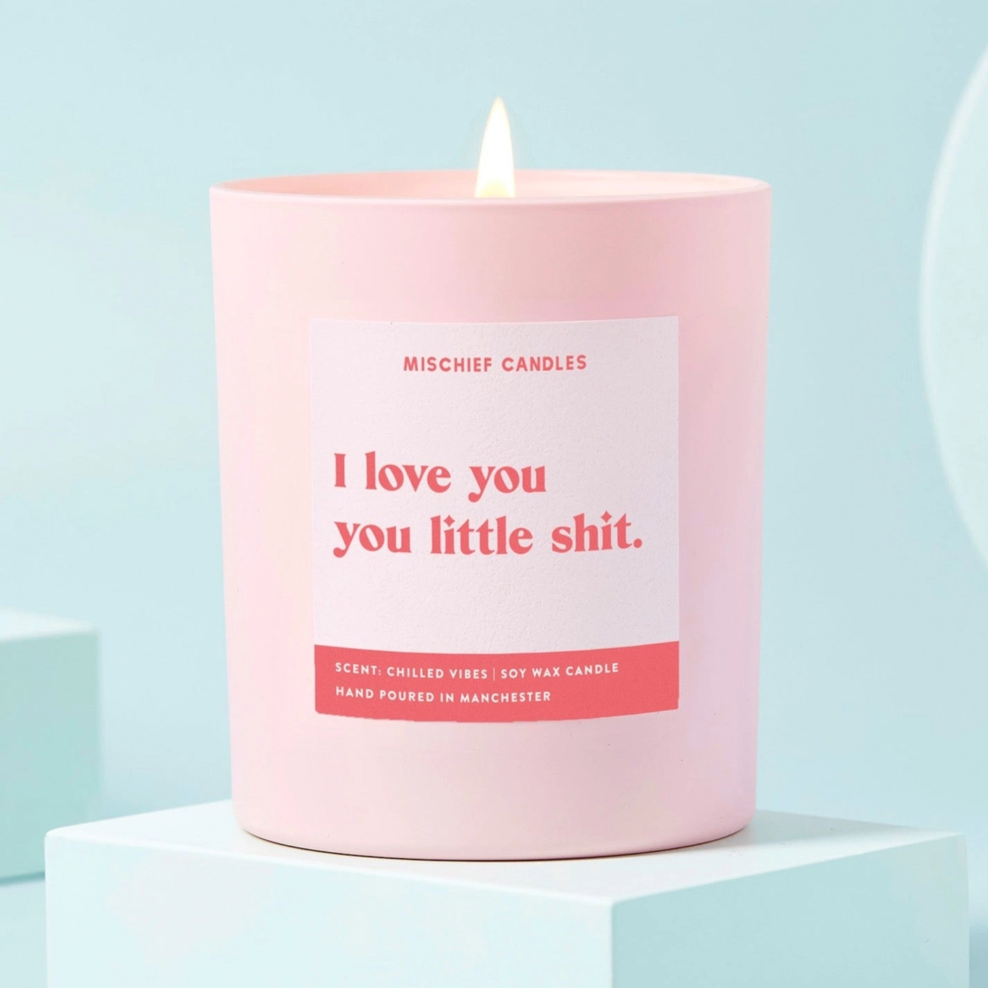 'I love you you little shit' candle