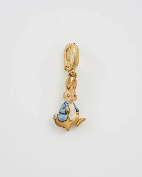 Fable England x Peter Rabbit Charm - Image 2