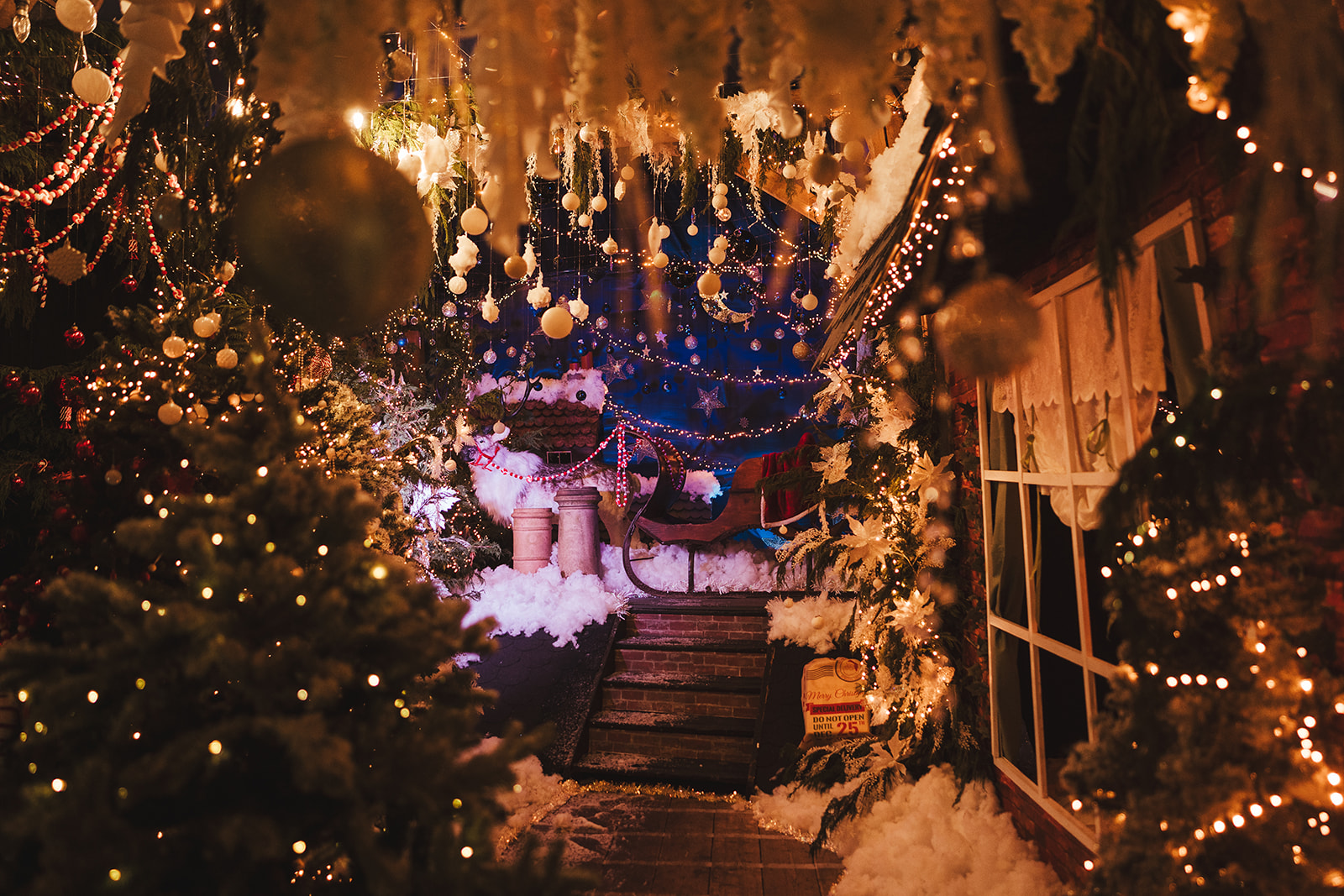 Christmas grotto Kent